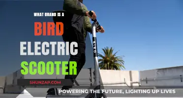 Electric Scooters: Bird Brand and Its Features