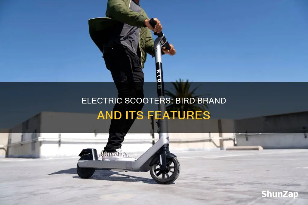 what brand is a bird electric scooter