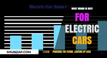 Top Electric Car Brands: Which Manufacturer Leads the EV Revolution?