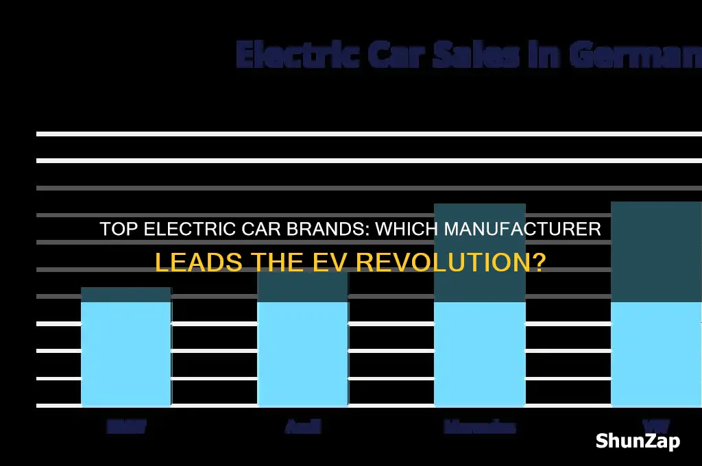 what brand is best for electric cars