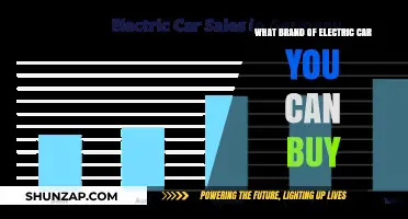 Top Electric Car Brands to Consider for Your Next Eco-Friendly Purchase