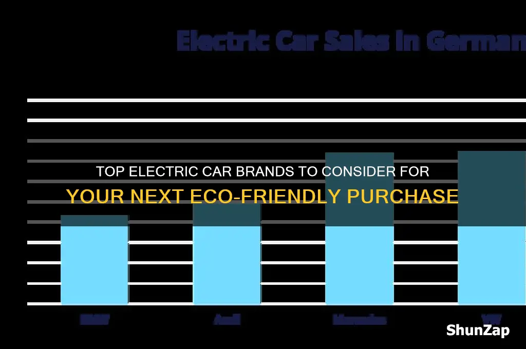 what brand of electric car you can buy