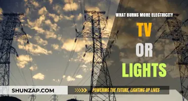 TV vs Lights: Which Burns More Electricity?