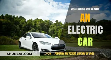 Electric Car Pitfalls: Common Issues and How to Avoid Them