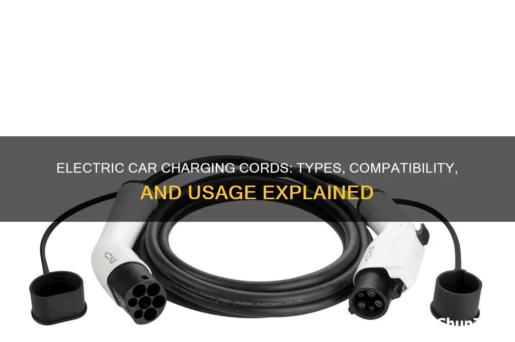 what can of cords do electric cars use