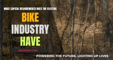 Electric Bike Industry: Capital Requirements and Challenges