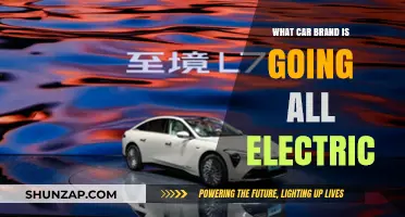 Revolutionizing the Road: Which Car Brand is Going All-Electric?