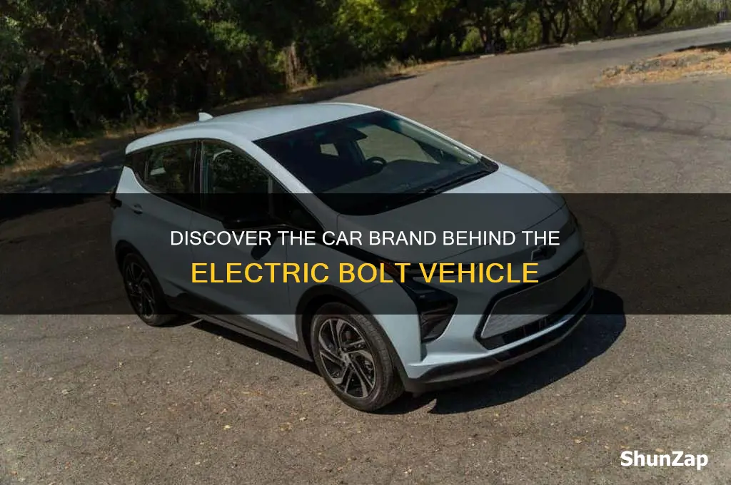 what car brand sells the electric vehicle the bolt