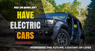Which Car Brands Are Yet to Launch Electric Vehicles?
