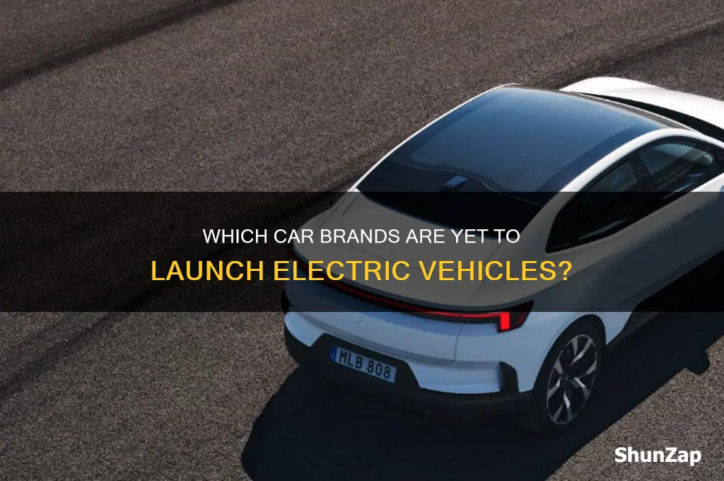 what car brands don