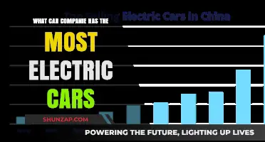 Leading the Charge: Which Car Company Dominates Electric Vehicle Sales?