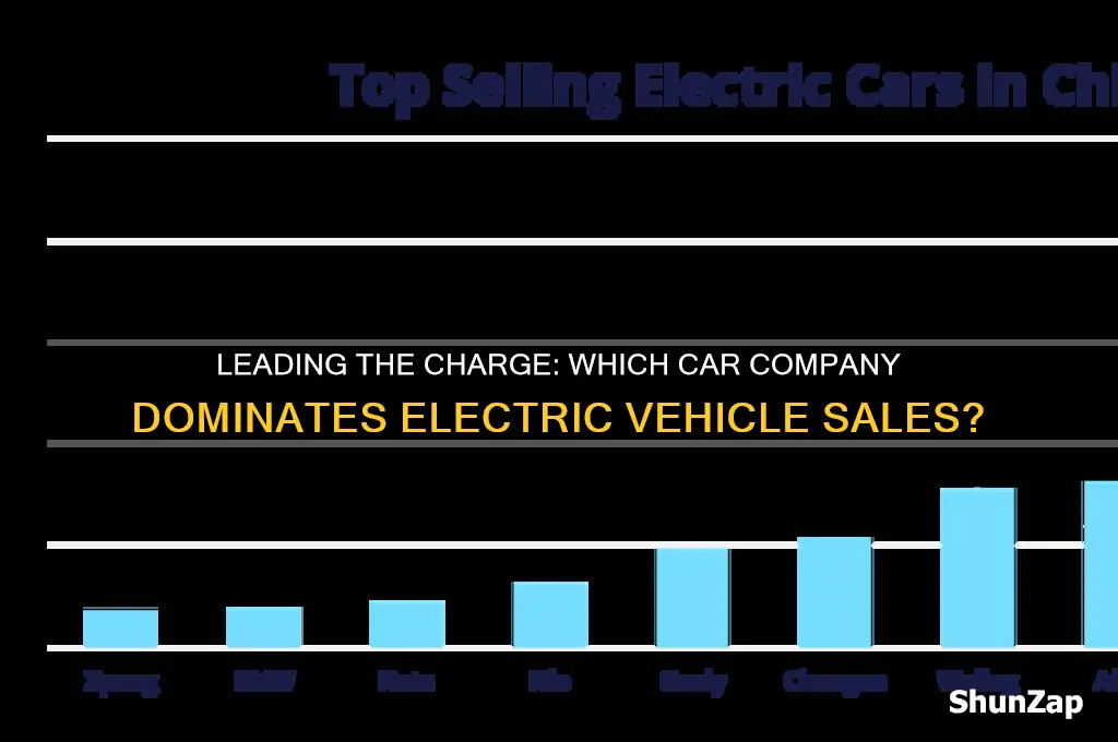 what car companie has the most electric cars