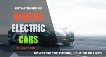 Leading Car Manufacturers Revolutionizing the Electric Vehicle Market Today