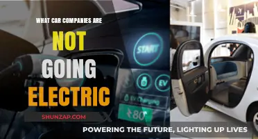 Which Automakers Are Resisting the Electric Vehicle Revolution?