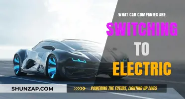 Major Car Manufacturers Transitioning to Electric Vehicles: Who's Leading?