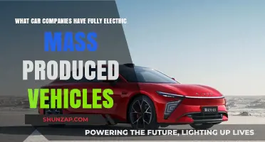 Leading Car Brands Revolutionizing the Road with Fully Electric Mass-Produced Vehicles