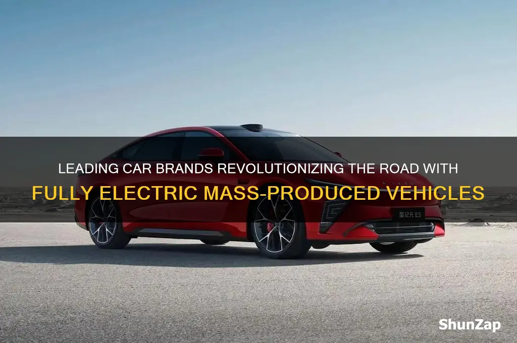 what car companies have fully electric mass produced vehicles