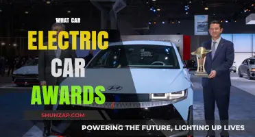 Top Electric Car Awards: Celebrating Innovation and Sustainability in Automotive Excellence