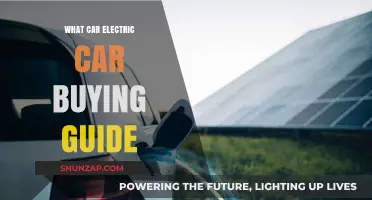 Essential Tips for Choosing Your Perfect Electric Vehicle Purchase
