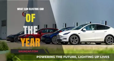 Top Electric Car of the Year: Innovation, Performance, and Sustainability