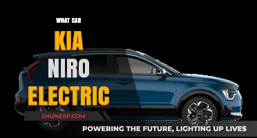 Kia Niro Electric: Features, Range, and Eco-Friendly Driving Experience