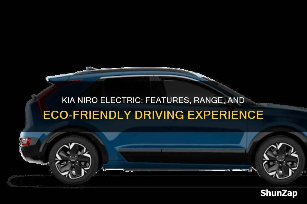 what car kia niro electric