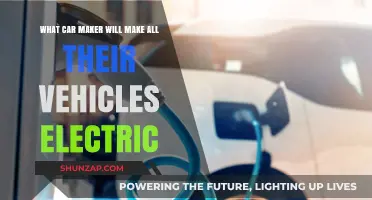 Which Automaker Will Fully Transition to Electric Vehicles First?