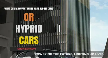 Exploring Car Brands Offering All-Electric and Hybrid Vehicles Today