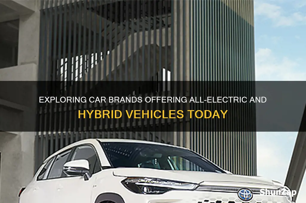 what car manufacturers have all-electric or hyprid cars
