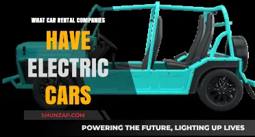 Eco-Friendly Travel: Car Rental Companies Offering Electric Vehicles
