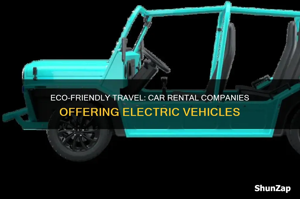 what car rental companies have electric cars