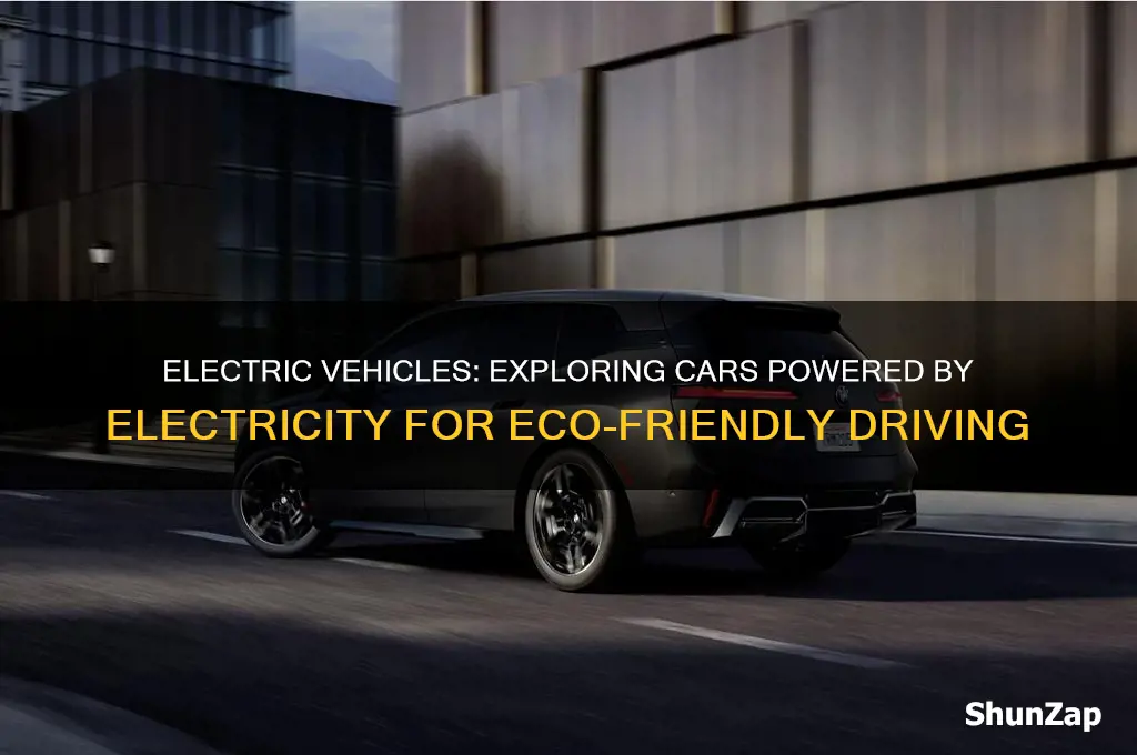 what car runs on electricity
