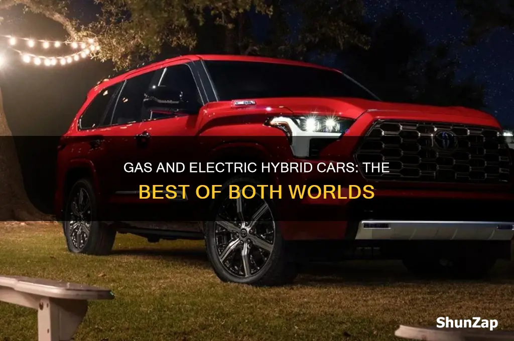 what car runs on gas and electric
