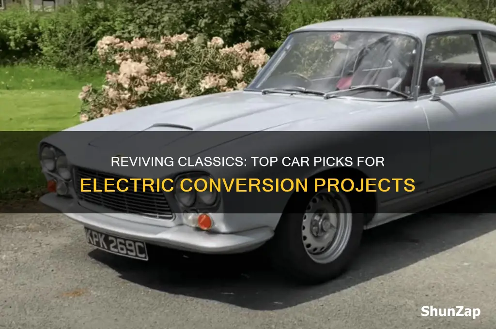 what car would you do an electric conversion on