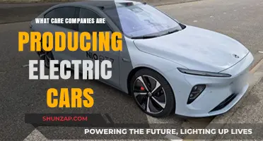 Leading Car Companies Revolutionizing the Electric Vehicle Market Today