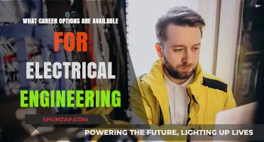 Exploring Diverse Career Paths for Electrical Engineering Graduates