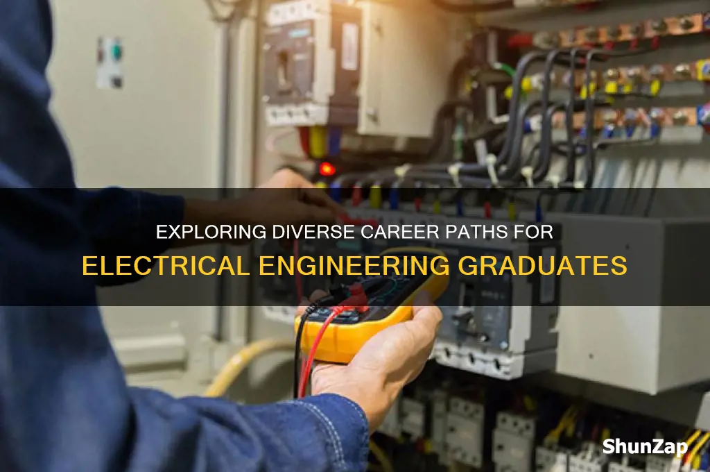 what career options are available for electrical engineering