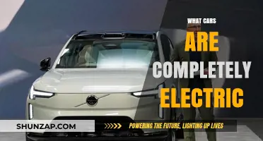 Exploring the Top Fully Electric Vehicles on the Market Today