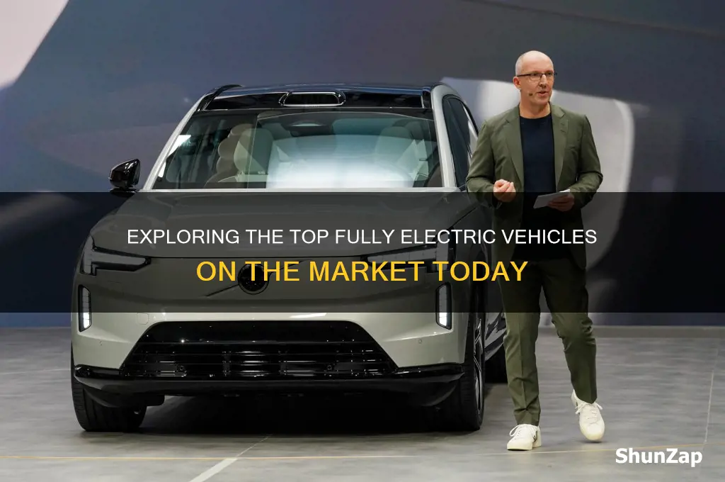 what cars are completely electric