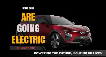 Revolutionizing the Road: Which Car Brands Are Going Electric Now