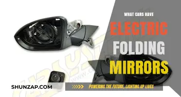Electric Folding Mirrors: Which Car Models Offer This Handy Feature?