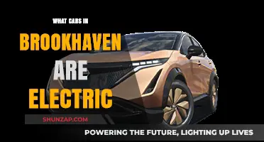 Exploring Brookhaven's Electric Car Scene: Models, Benefits, and Charging Options