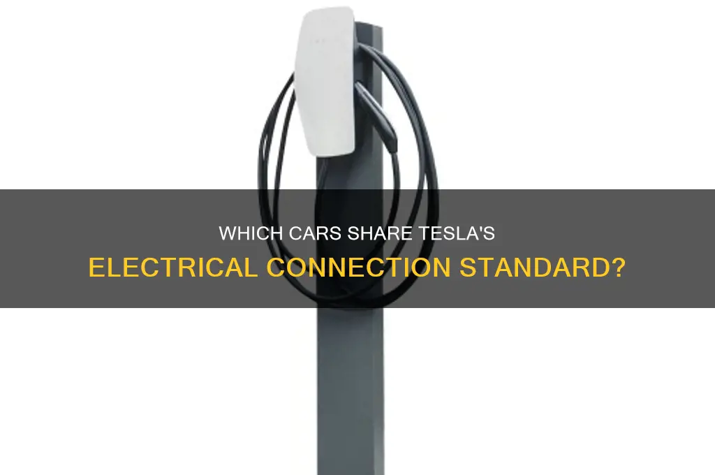 what cars use the same electrical connection as a tesla