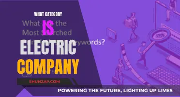 Electric Company's Business Category: A Comprehensive Overview