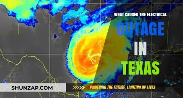 Texas Power Outage: Causes and Consequences
