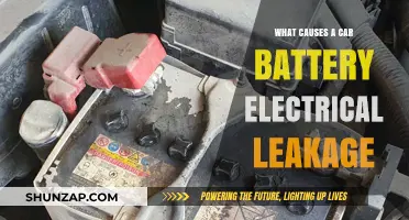 Understanding Car Battery Electrical Leakage: Common Causes and Solutions