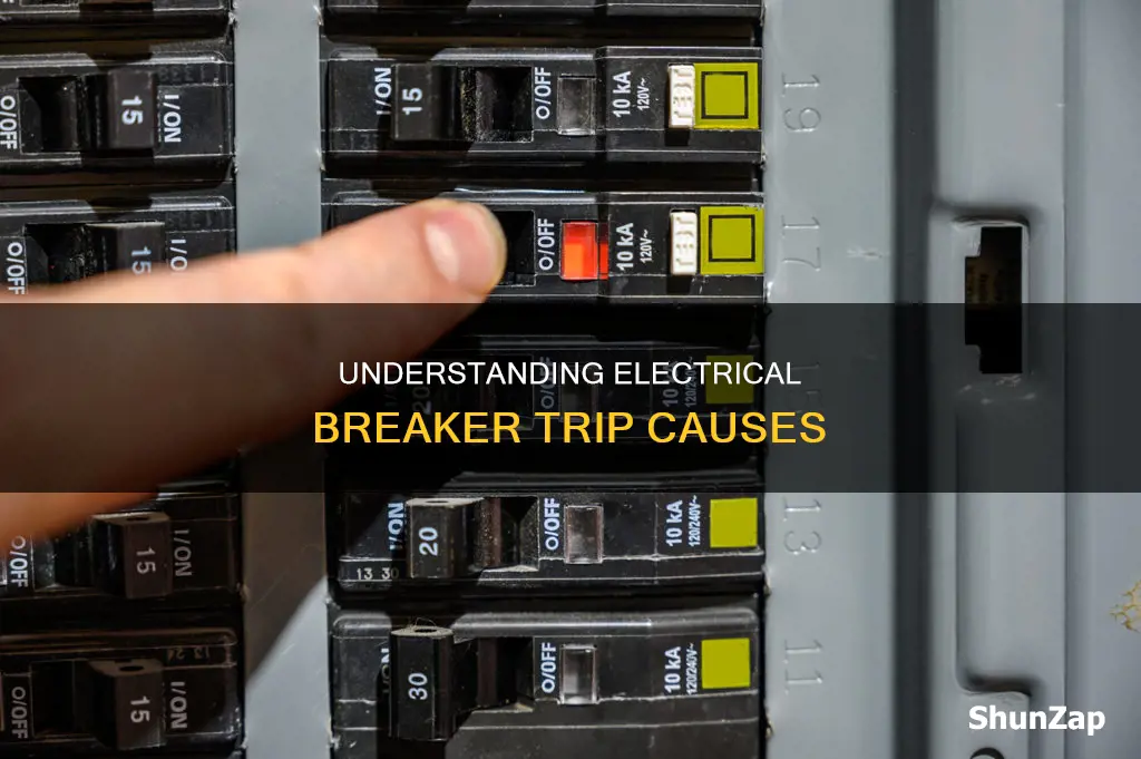 what causes a electrical breaker to trip