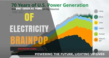 Electricity's Brain: Unlocking the Power Source