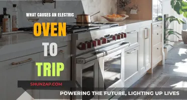 Electric Oven Trip: Common Causes and Quick Fixes