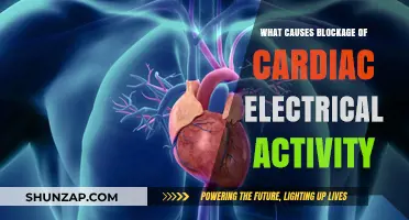 Understanding Cardiac Electrical Blockage: Causes and Mechanisms